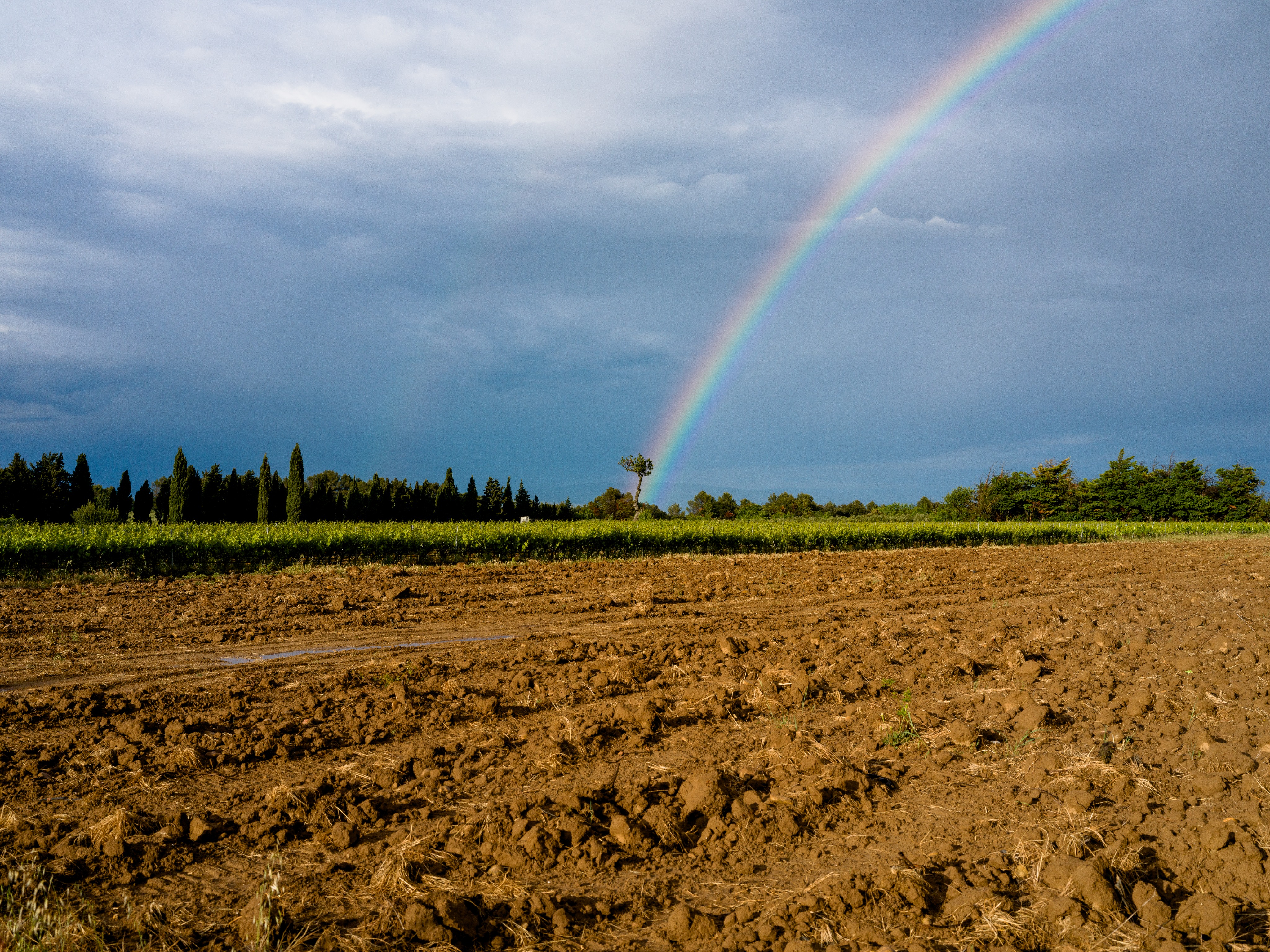 ARC EN CIEL